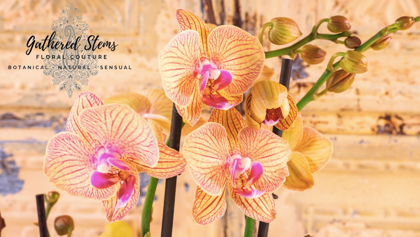 McLean Florist Flower Delivery by Gathered Stems Floral Couture