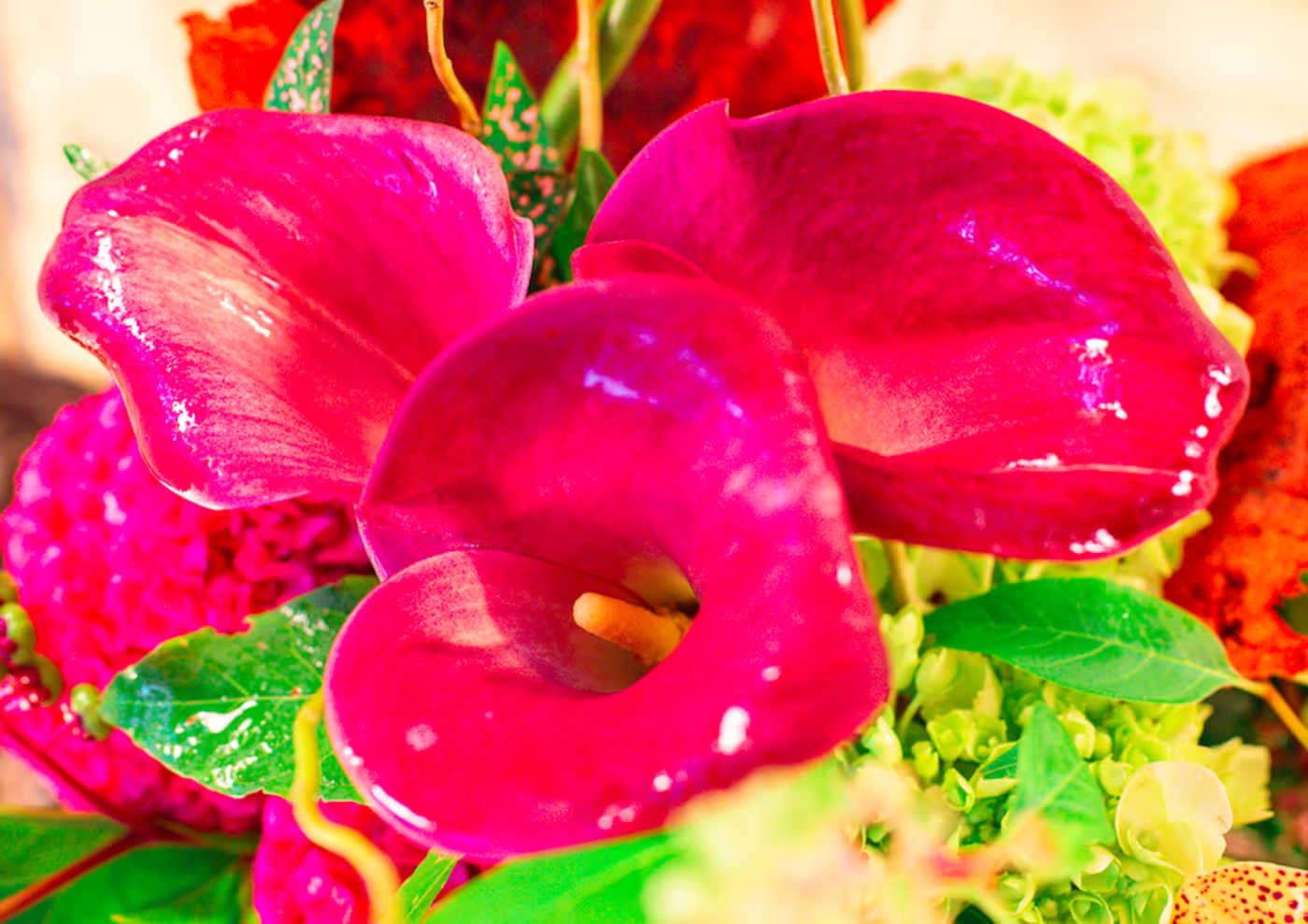 Choosing the Perfect Bouquet for Every Occasion