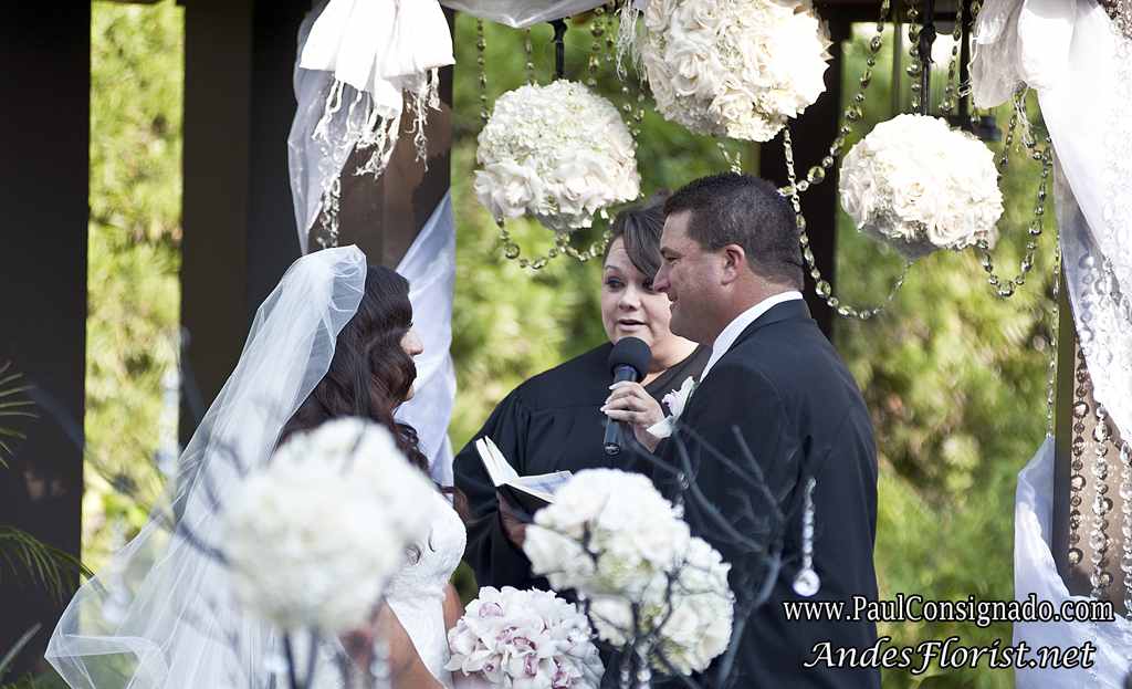 Black & White in the South Bay