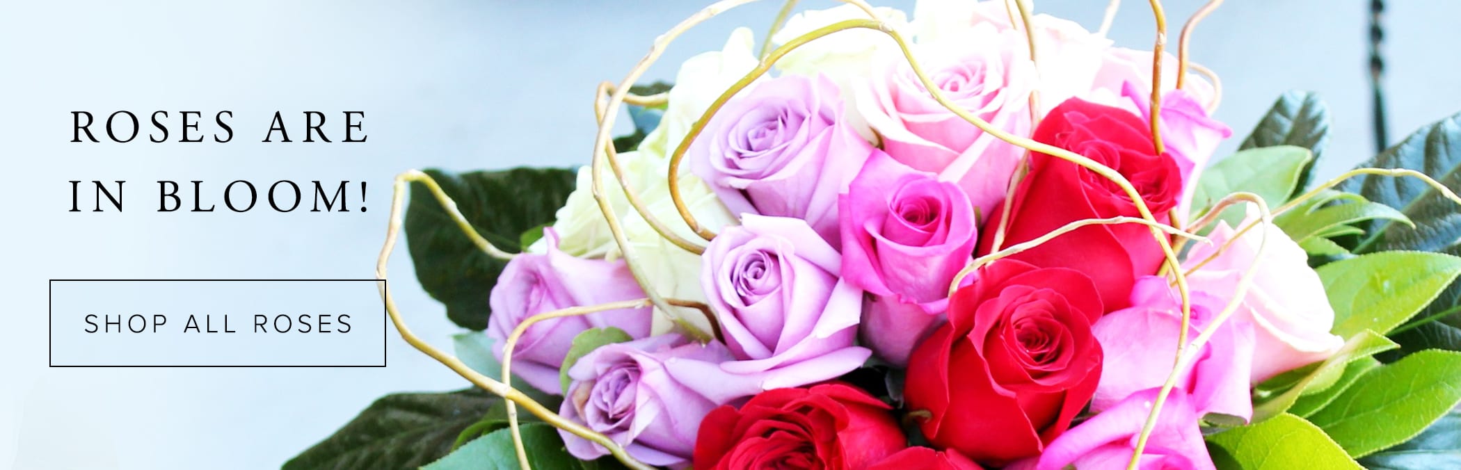 Las Vegas Florist Flower Delivery by English Garden Florist