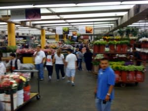 flowermarket2