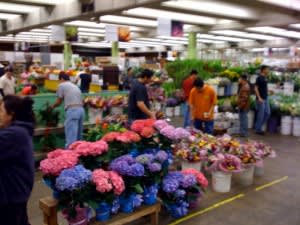 flowermarket3
