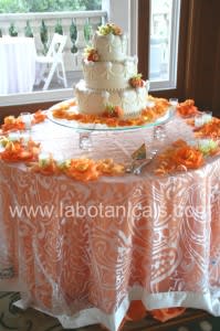 Andersoncake_lg