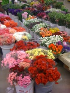 flowermarket4