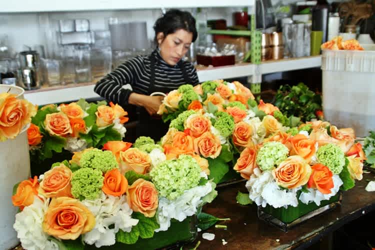 Why Choose L.A. Botanicals?