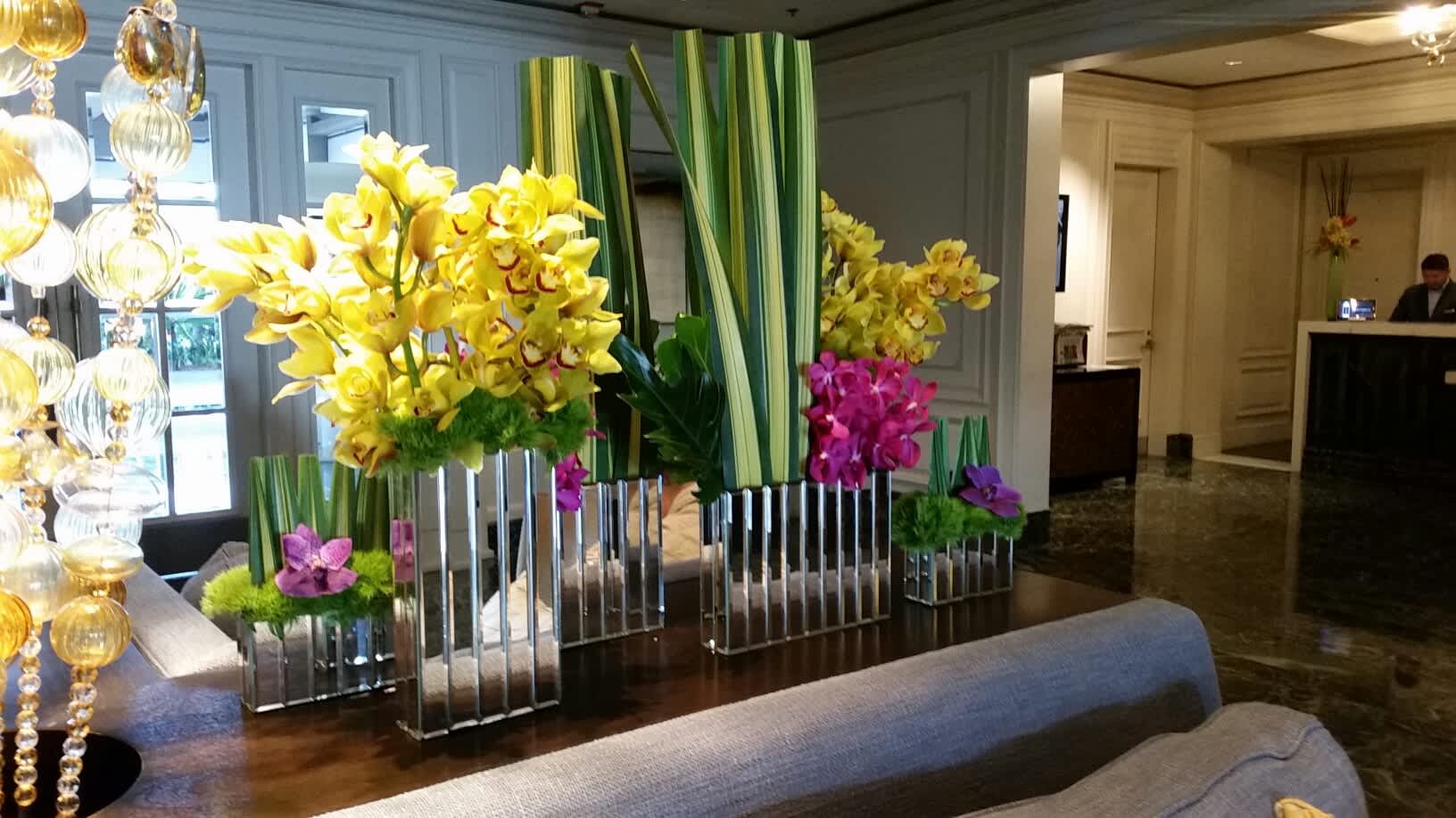 Tropicals for Spring