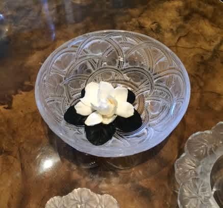 Garden Party In Honor of Congresswoman Tulsi Gabbard