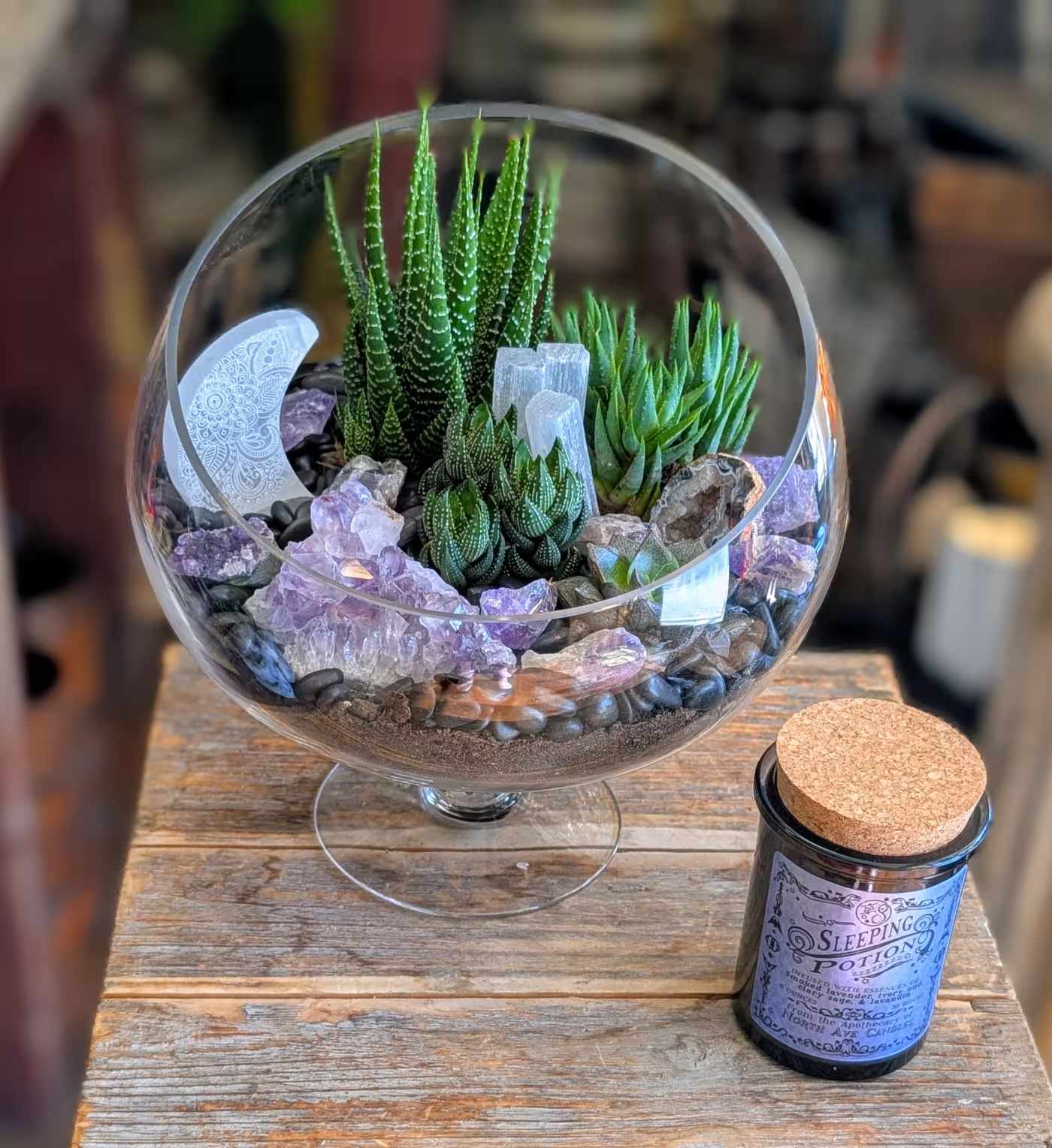 ​Succulent Gardens with Crystals – Nature and Magic