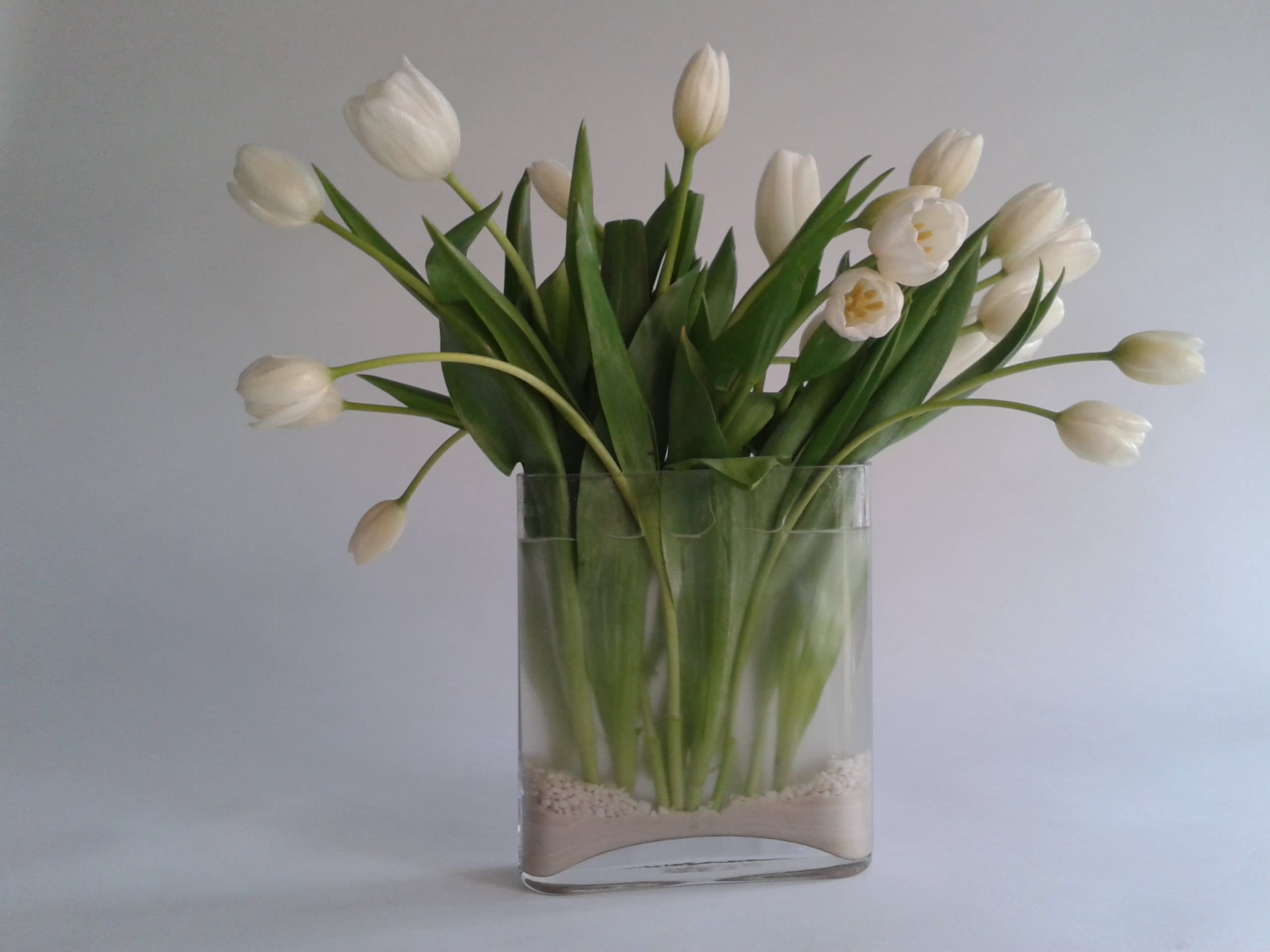 Manage freshness of your floral gifts