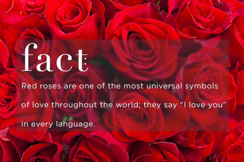 Best way to order Valentine's Day Flowers