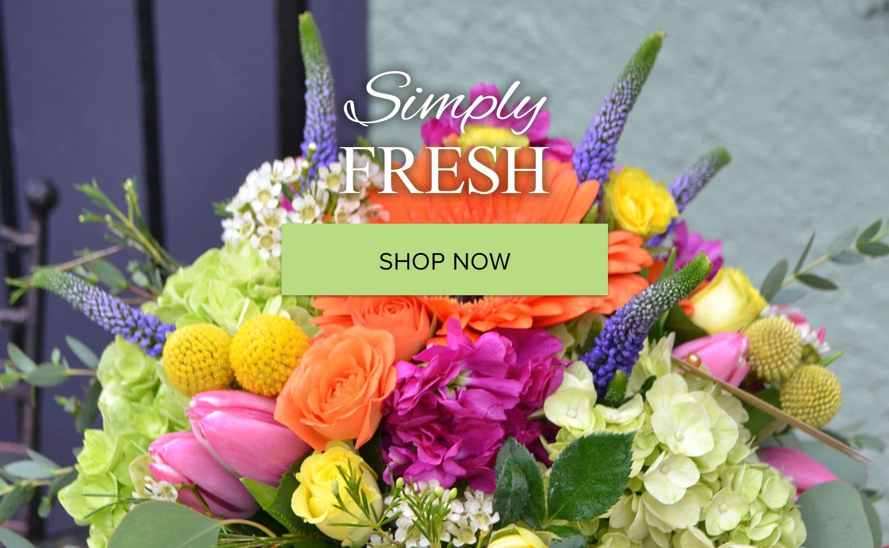 Takoma Park Florist Flower Delivery by Park Florist