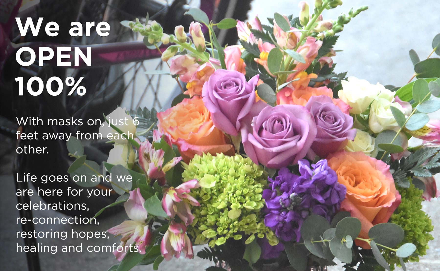 Takoma Park Florist Flower Delivery by Park Florist