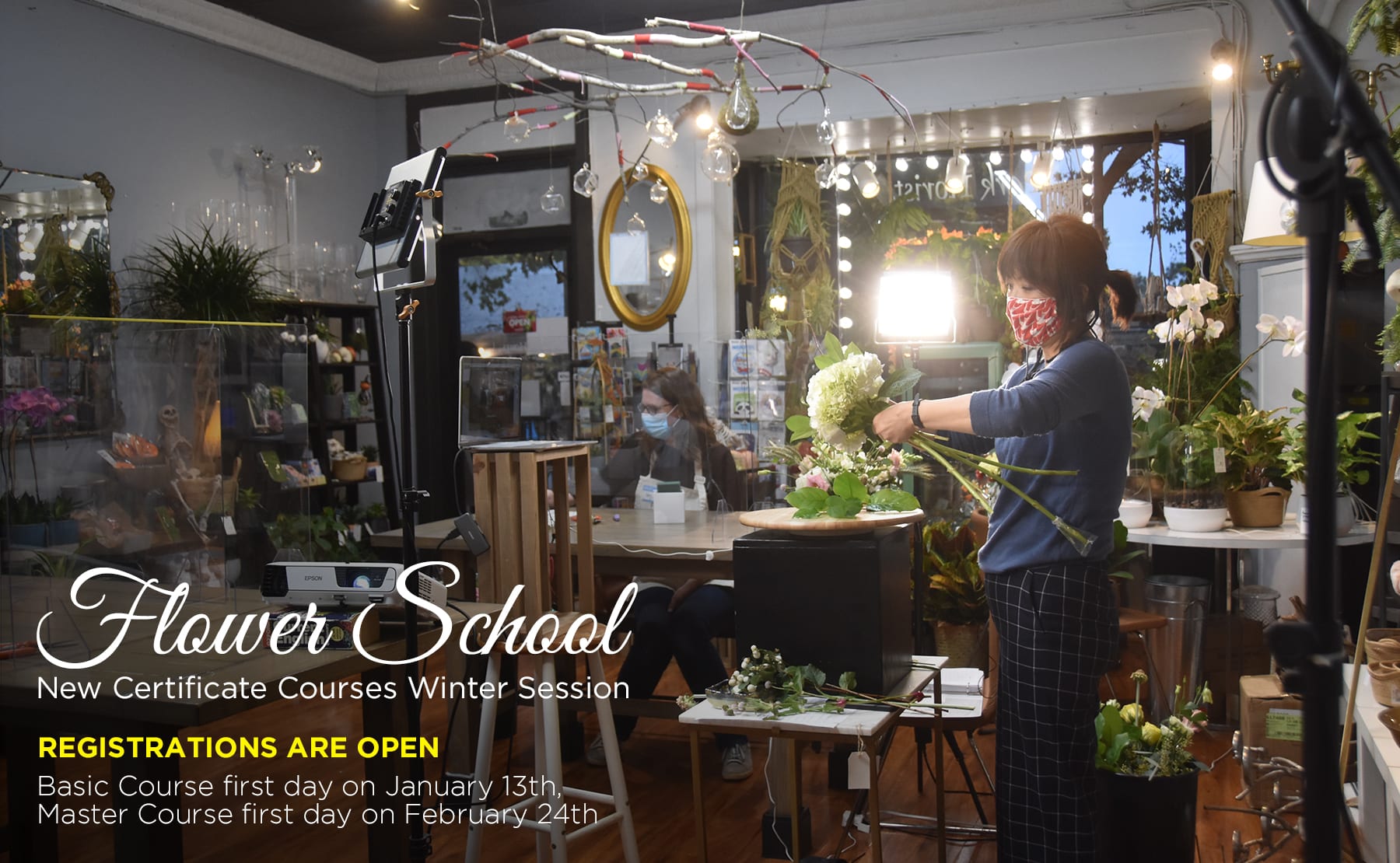 Takoma Park Florist Flower Delivery by Park Florist