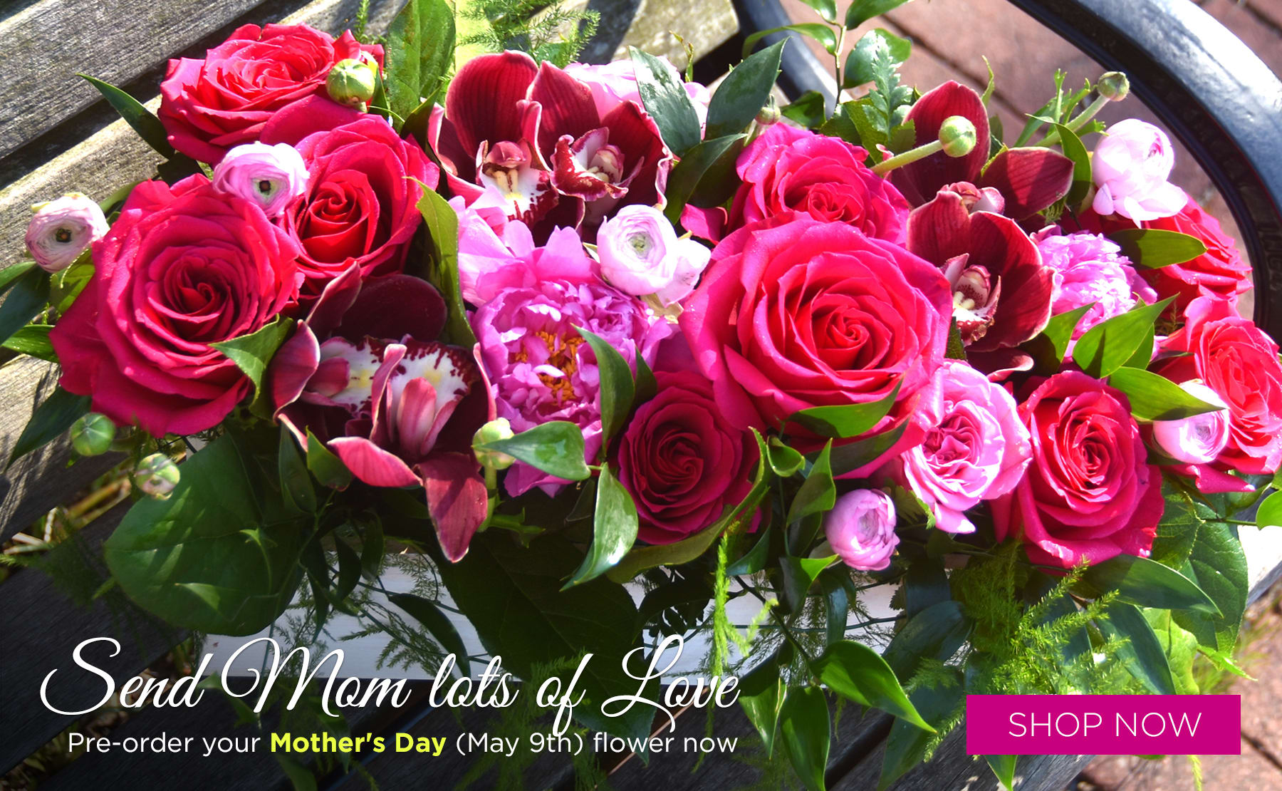 Takoma Park Florist Flower Delivery by Park Florist