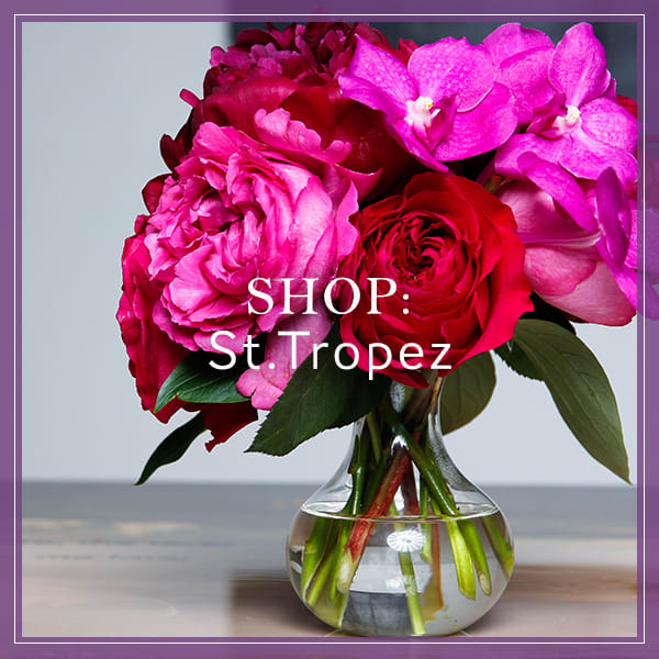 Miami Beach Florist Flower Delivery by Pistils & Petals