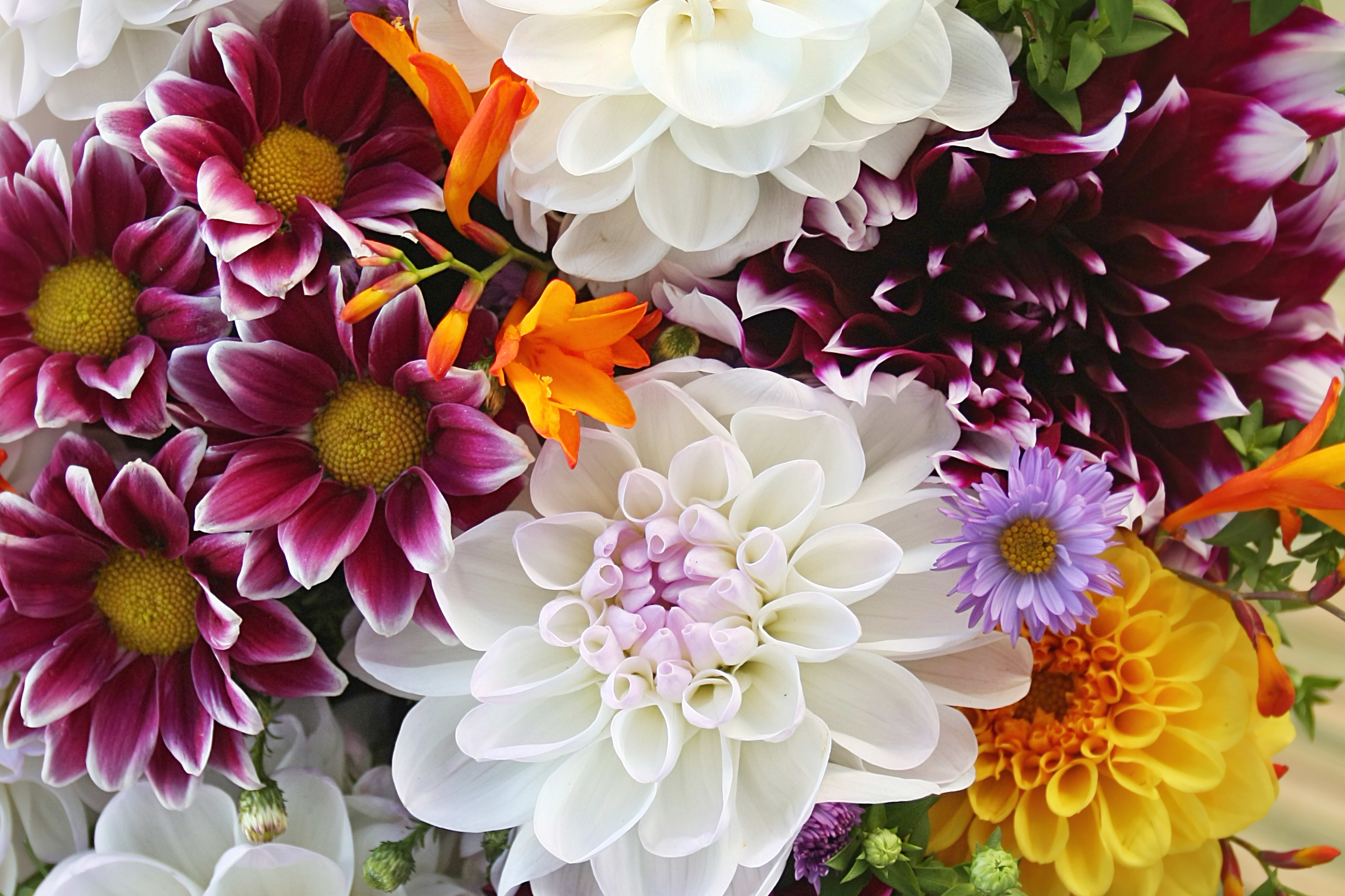 New York Florist Flower Delivery by StevensGabes House of Flowers