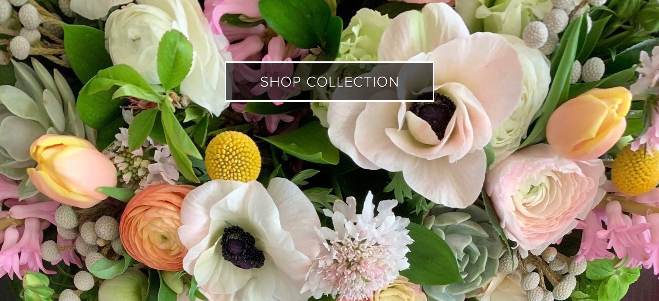 Laguna Niguel Florist Flower Delivery by B'z Blooms