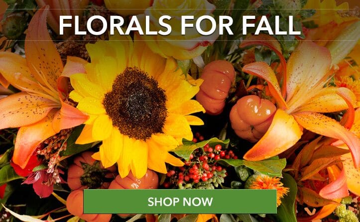 Pasadena Florist | Flower Delivery by The Flowerman, Inc.