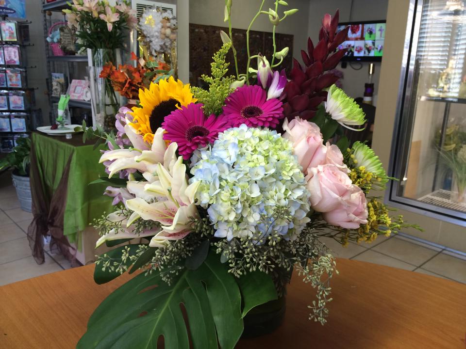 Color Contrast and Blends