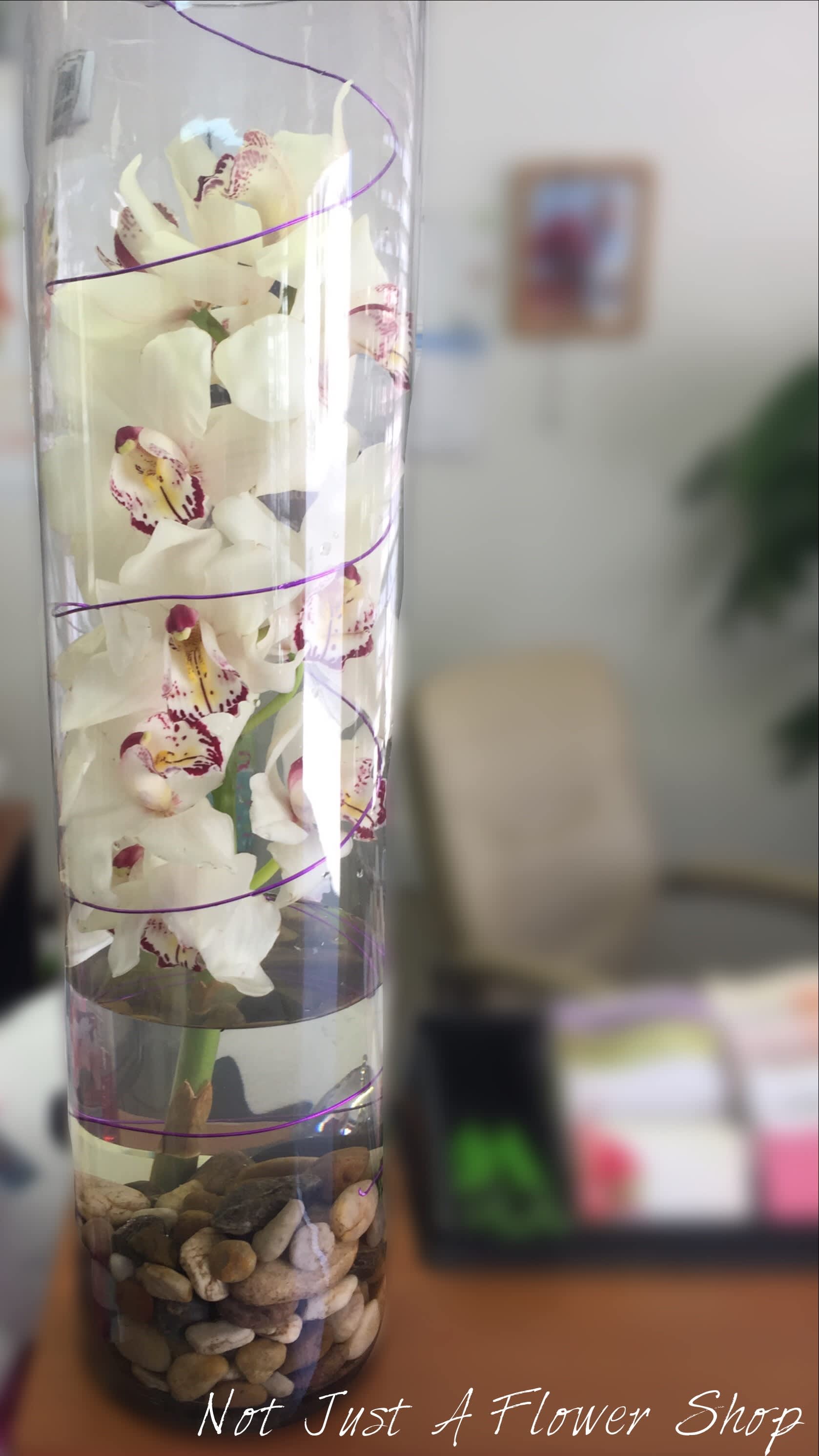 Facebook, Instgram and Pinterest! 