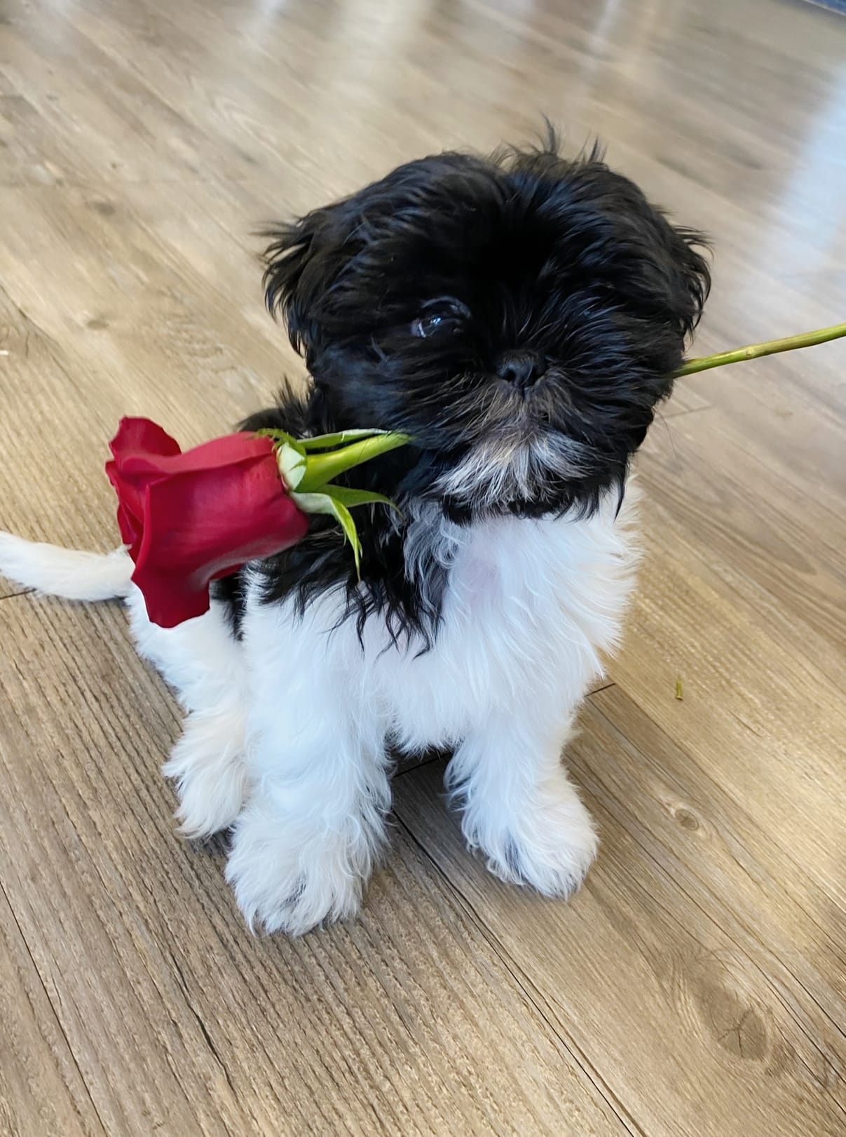 Love-Filled February