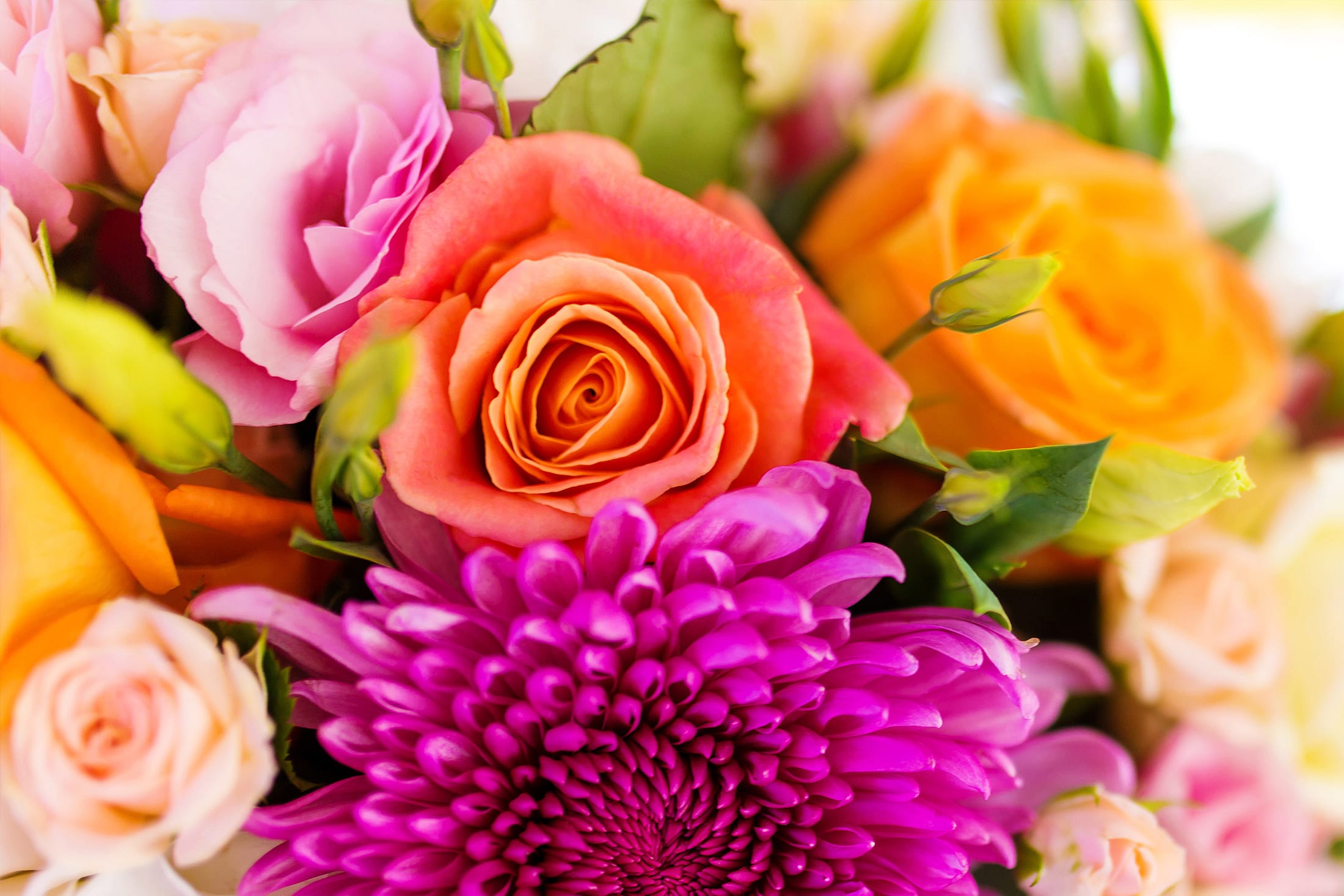 Dorchester Florist Flower Delivery by Coleen's Flower Shop