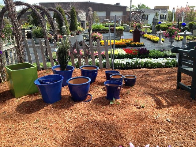 Garden Center Spring Photos
