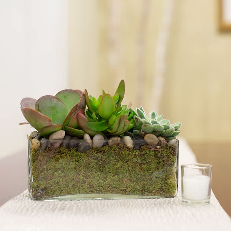 Make your Mom feel extra special this Mother's Day!
