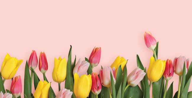 In Bloom - Quarterly Newsletter - Spring 2022