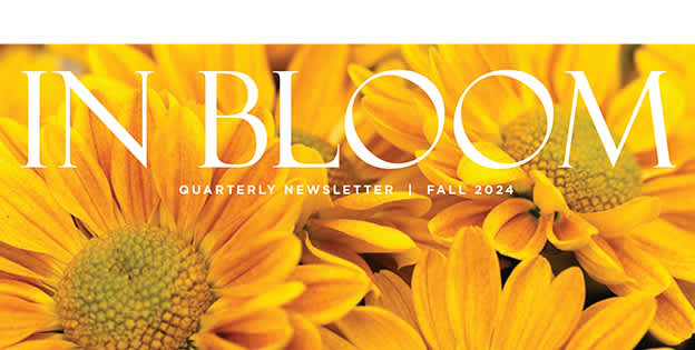 In Bloom – Fall 2024 Newsletter