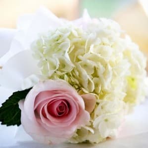 Mother of the Bride – How to Honor Her