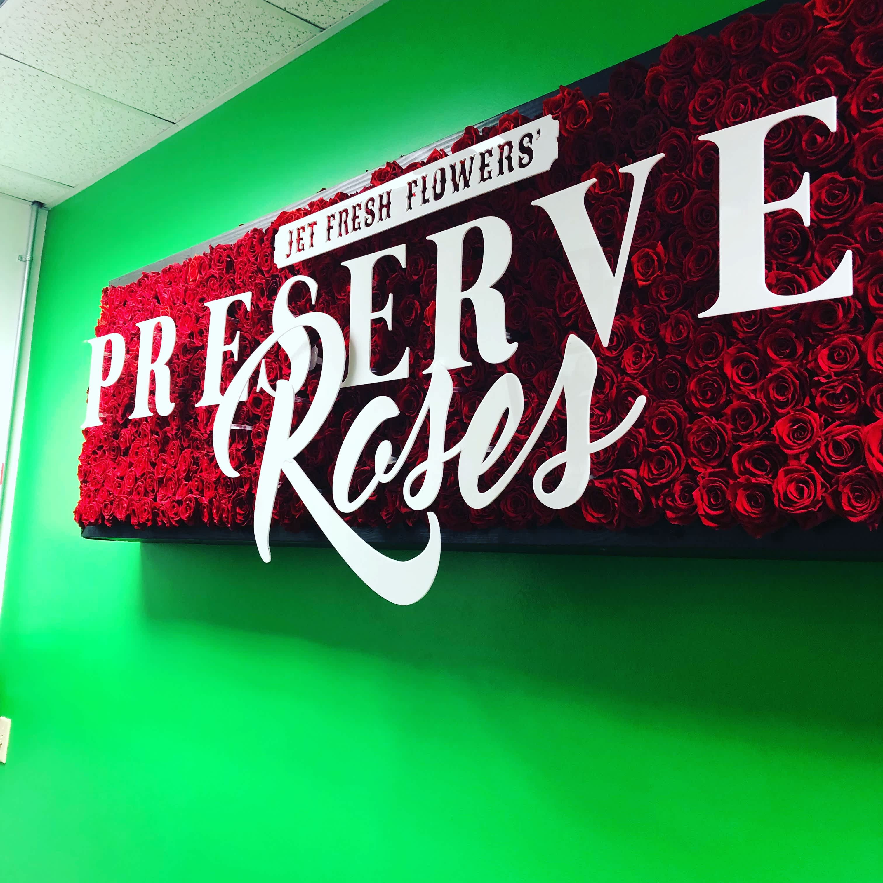 My visit to Jet Fresh.