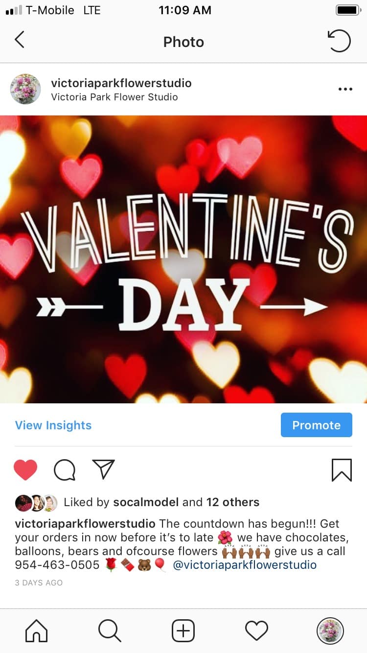 Valentine's Day! Yeaaaa! Yea? Yea.