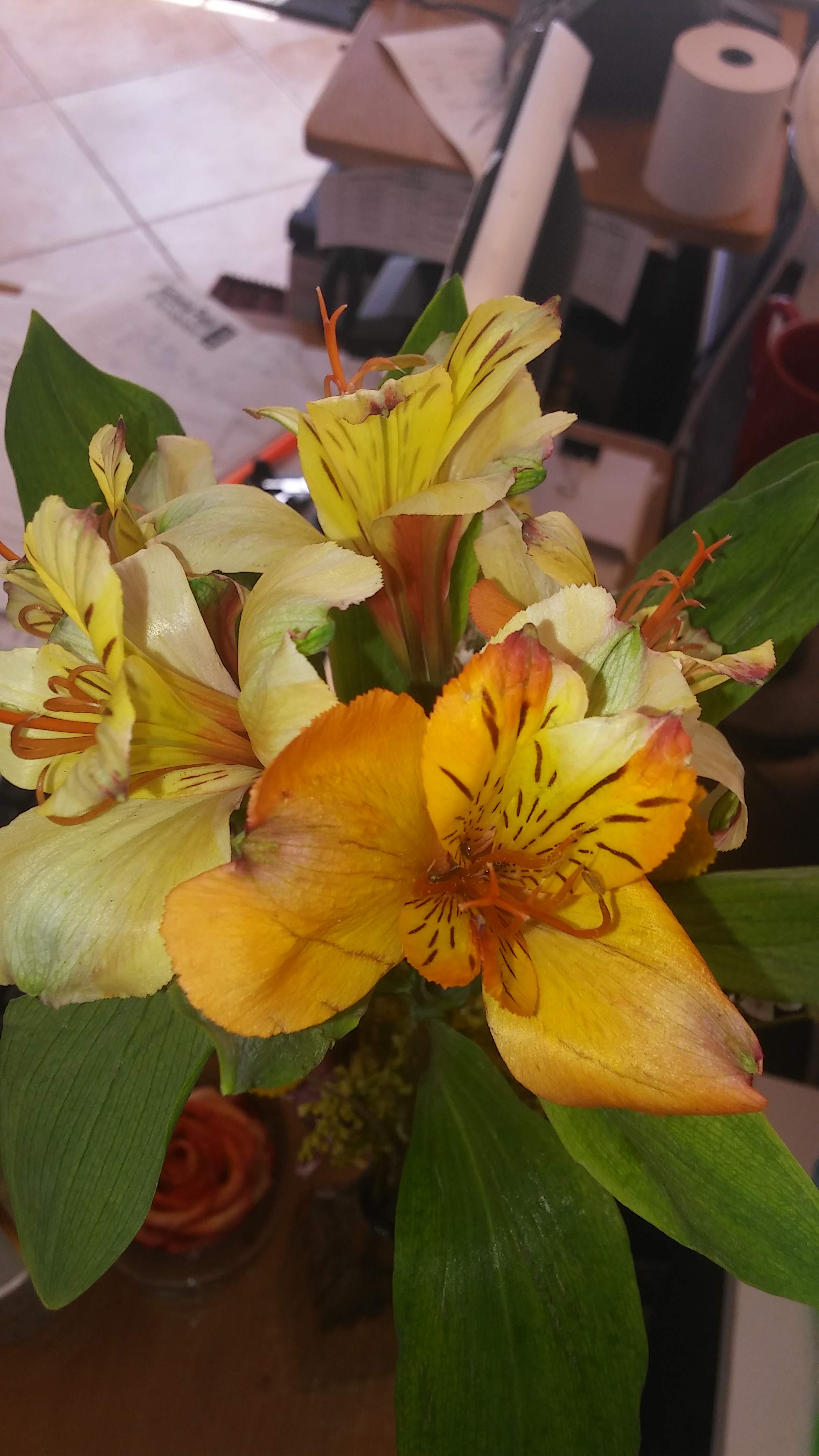 One of these things is not like the other...