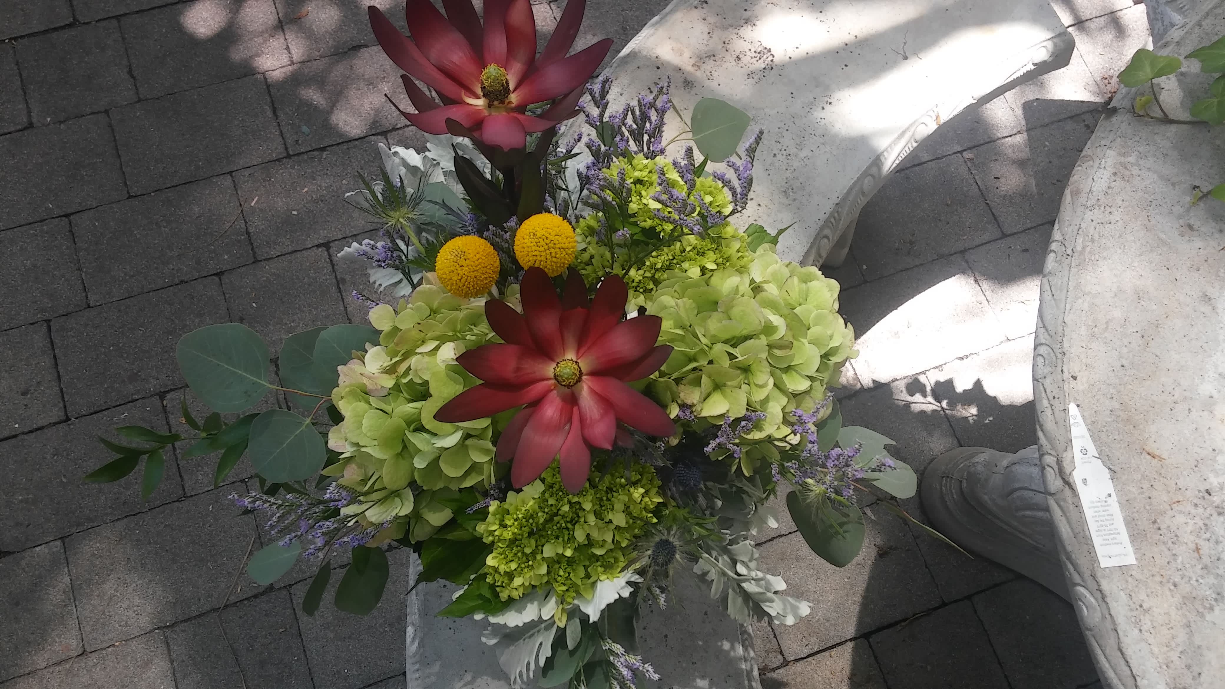 It has no name, yet.