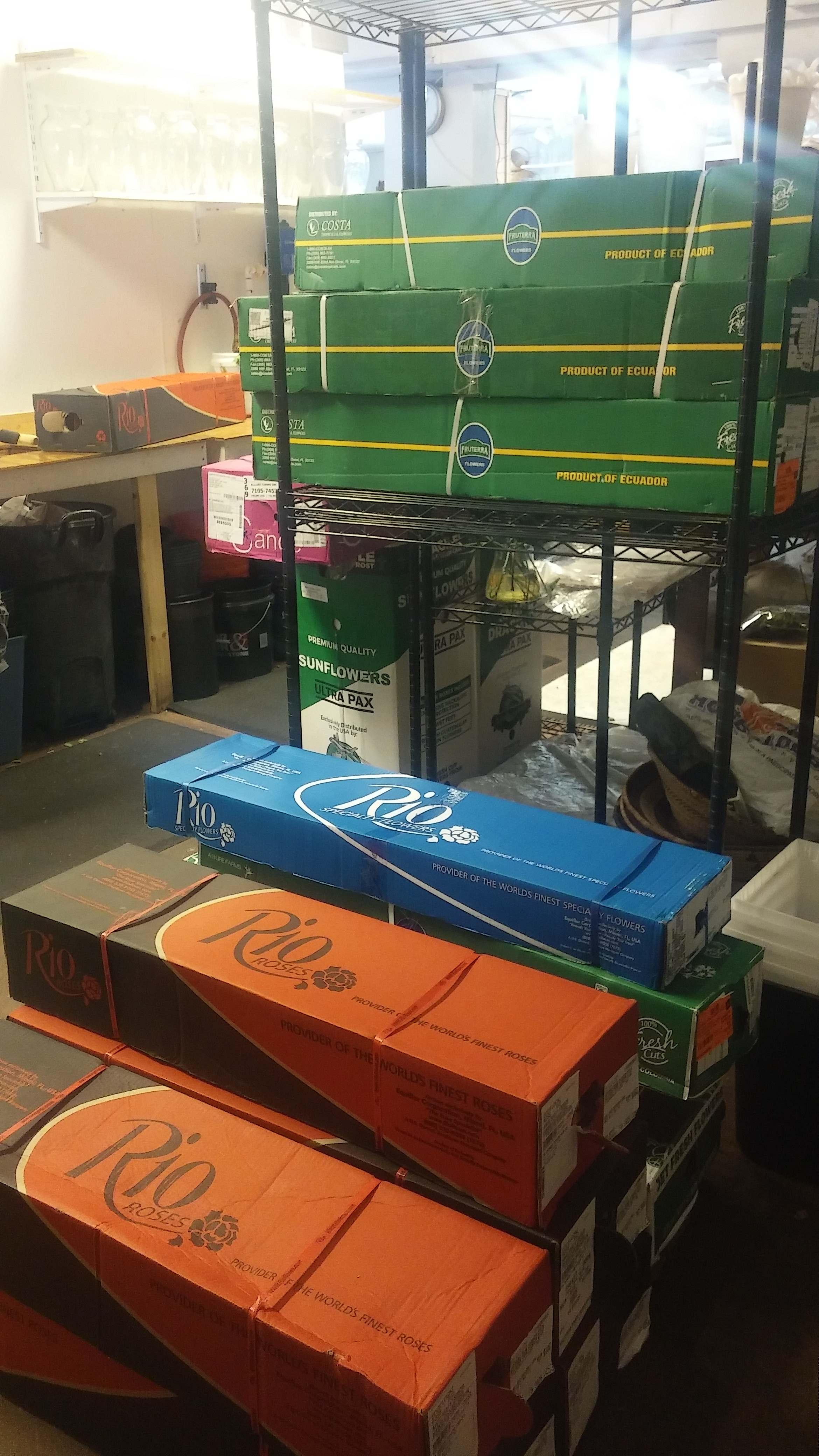 It's Inventory Day! Yea!