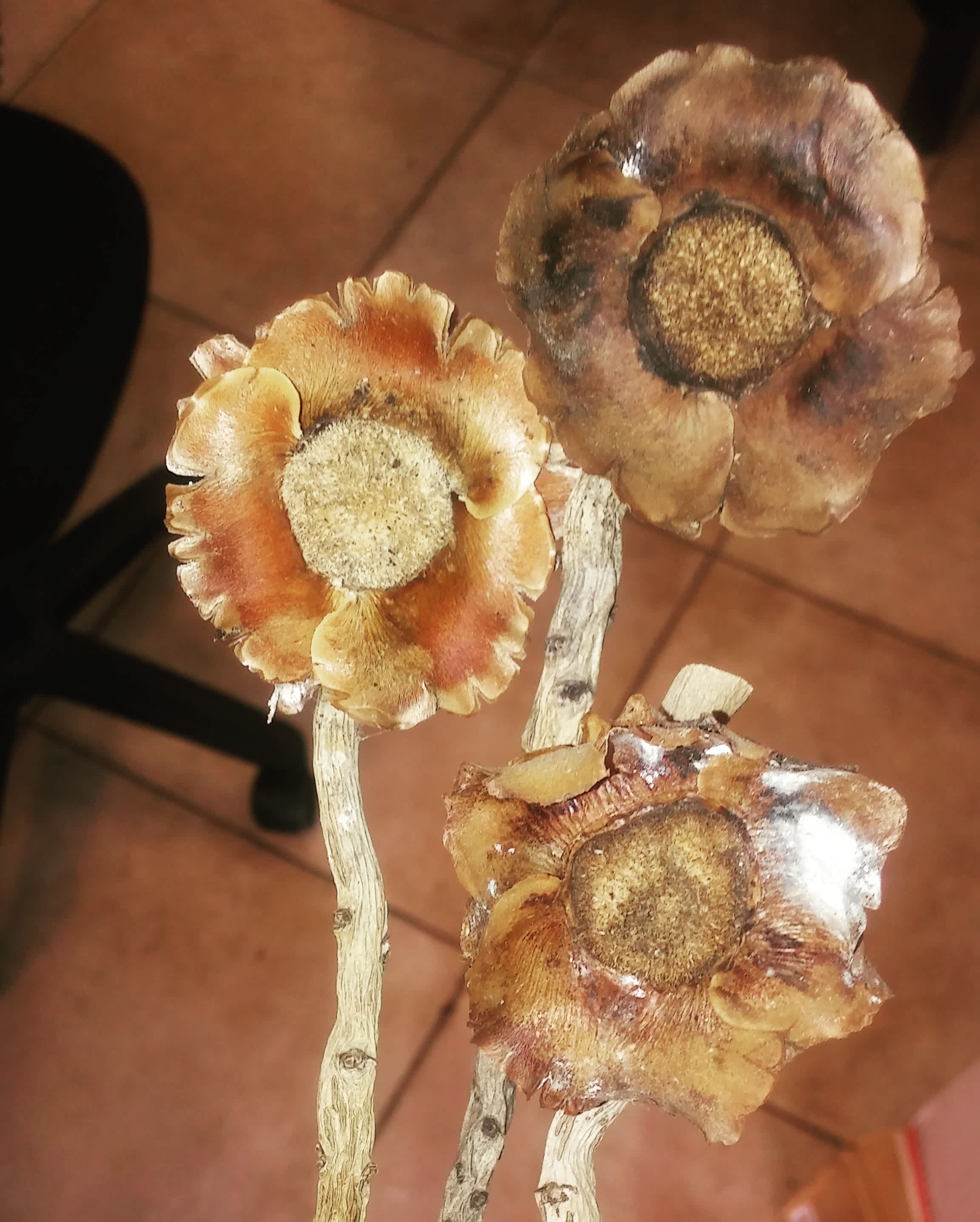 The Coolest little find.