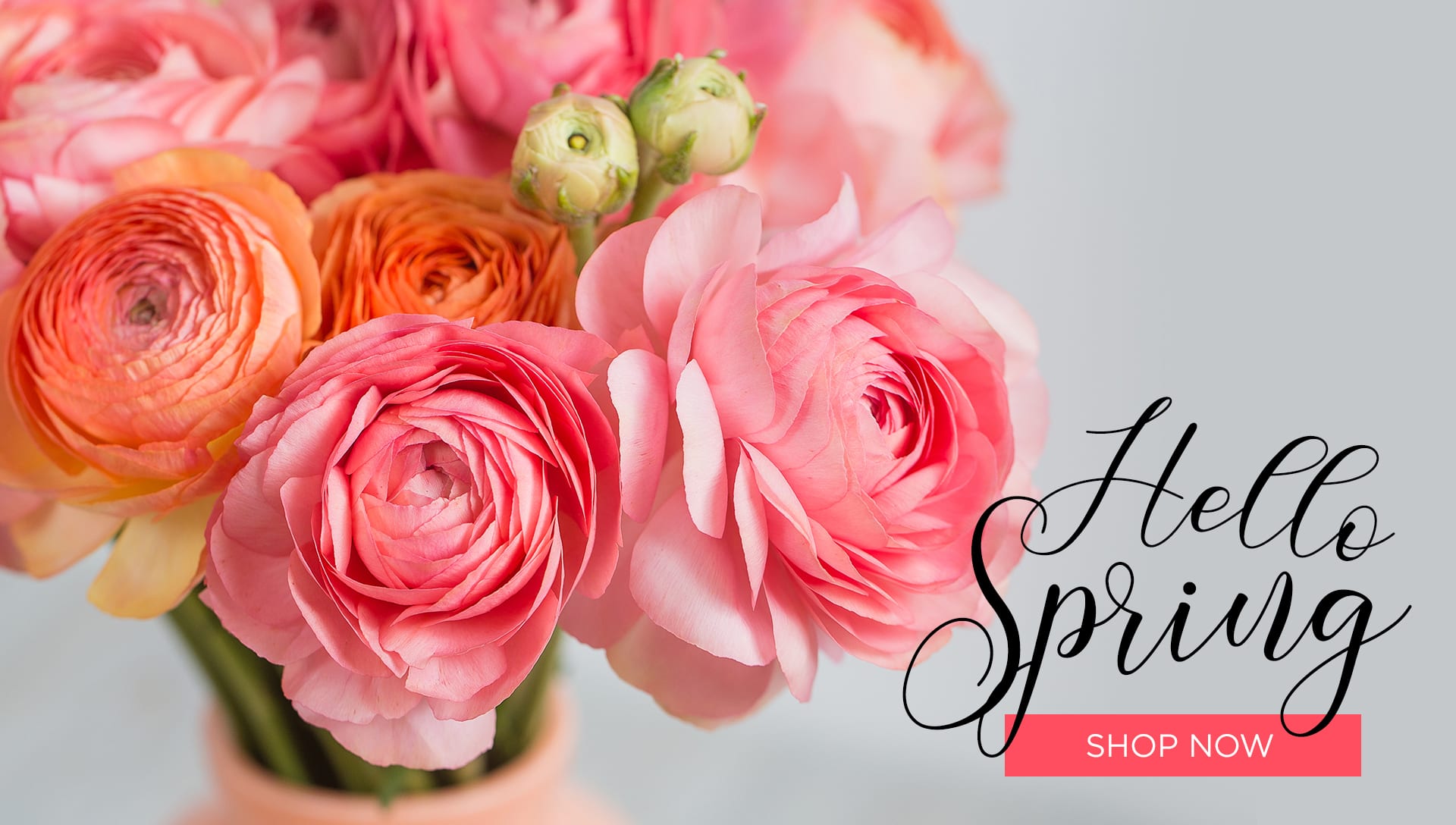 Westlake Village Florist Flower Delivery by Westlake Florist