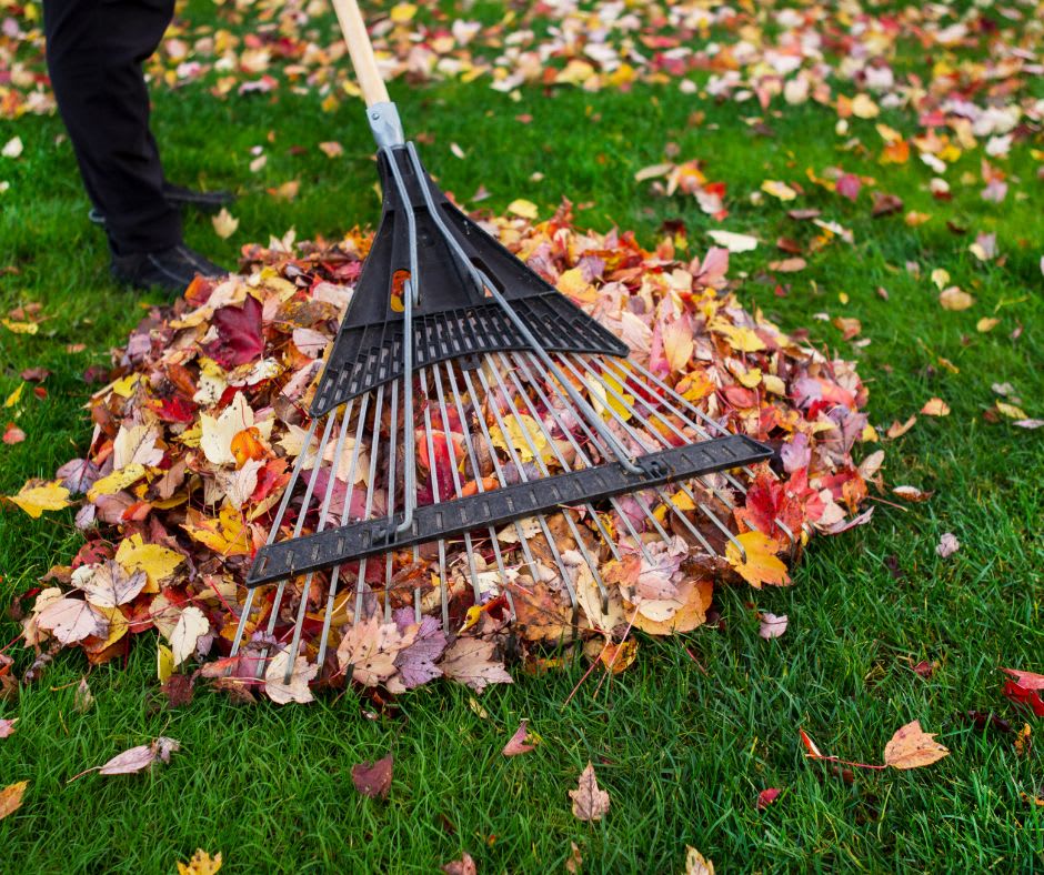 Fall Garden Clean-Up 101: Set Your Garden Up for Spring Success
