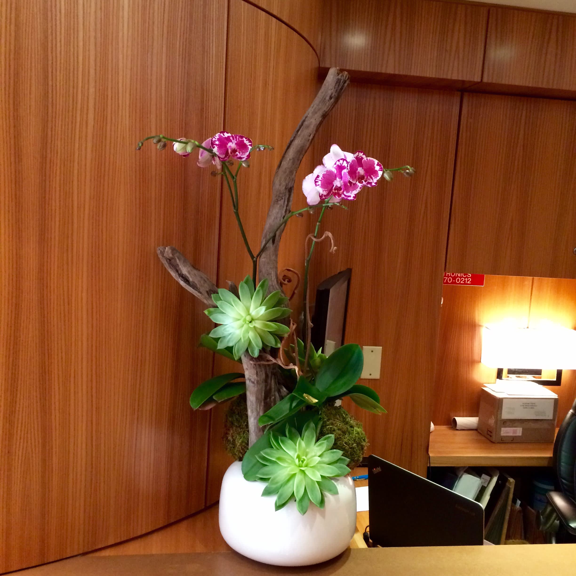 Zero Marlborough Boston's Monthly Arrangement