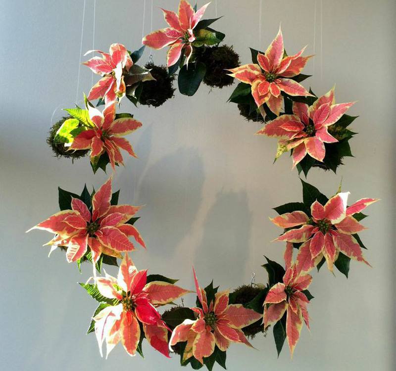 Kokedama Moss Ball figured on Boston Magazine Online