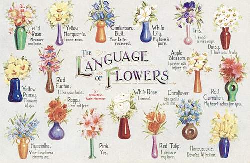 "The Language of Flowers" 