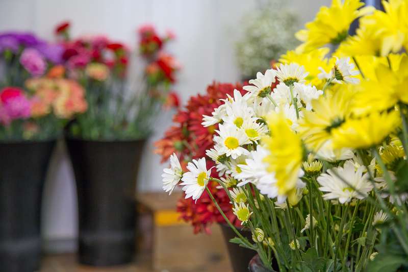 Investing in our Local customers