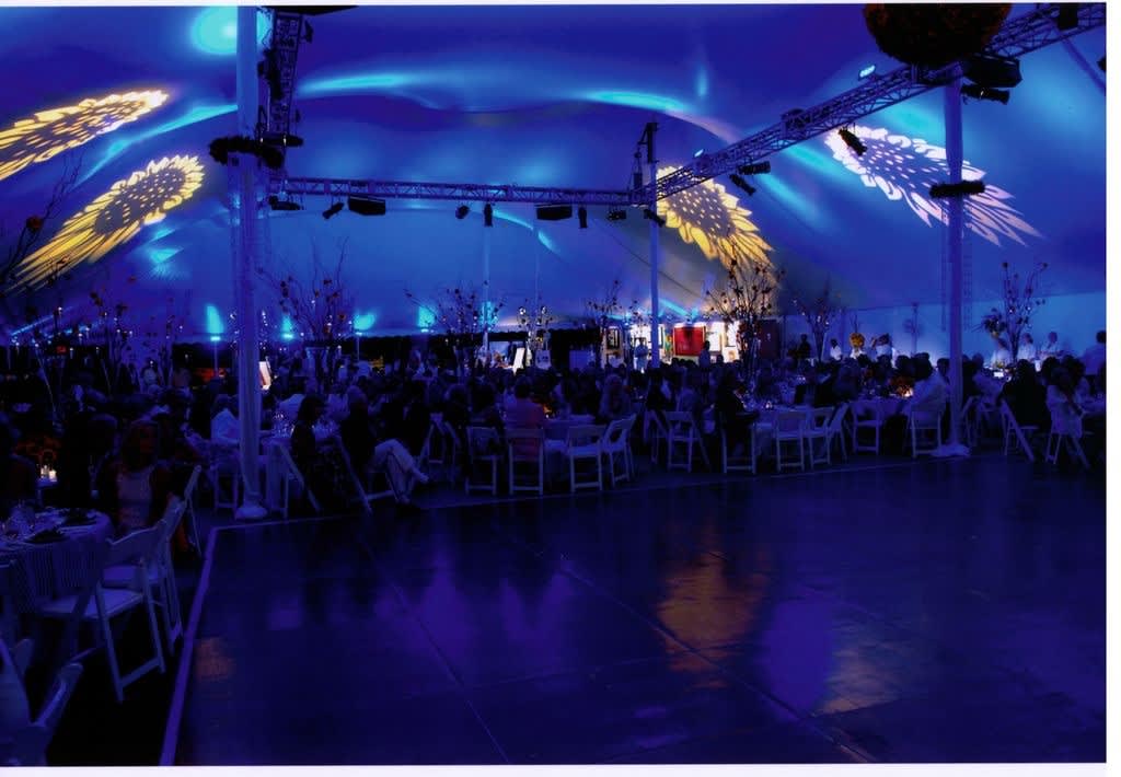 Sunflower After Hours