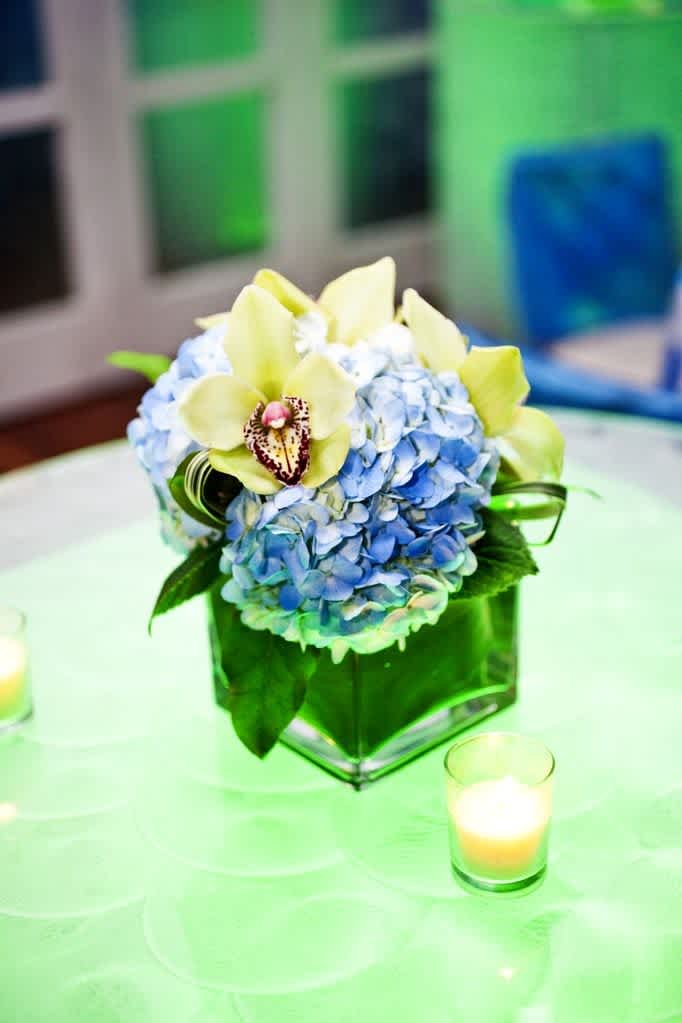 The Knot Networking Event