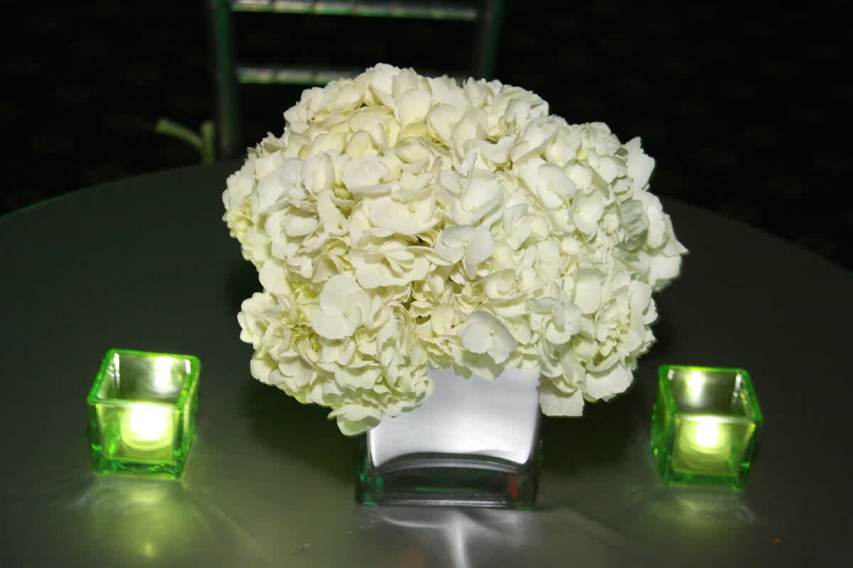 Joshua's Bar Mitzvah