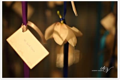 Amber & Savannah's Bat Mitzvah