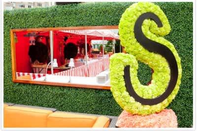 Sophie's Bat Mitzvah