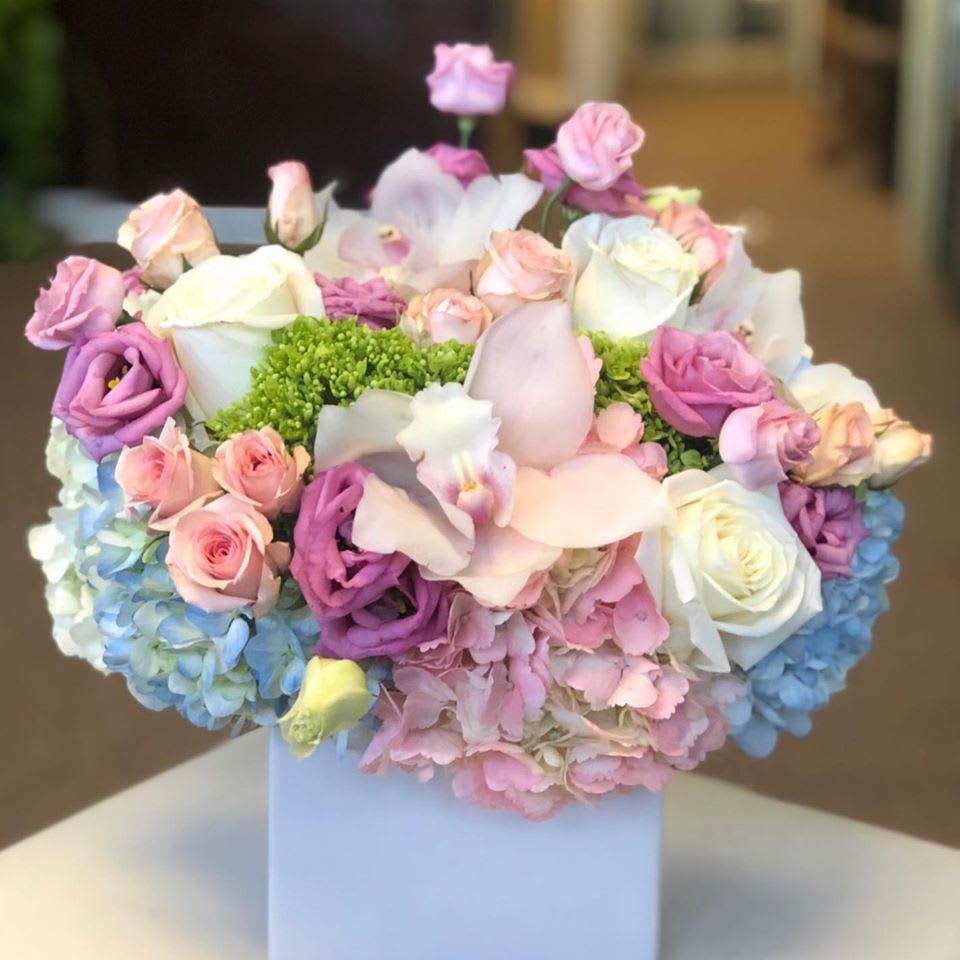 Nurses Appreciation Week