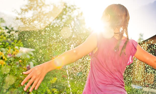 Our Favorite Flowers of Summertime